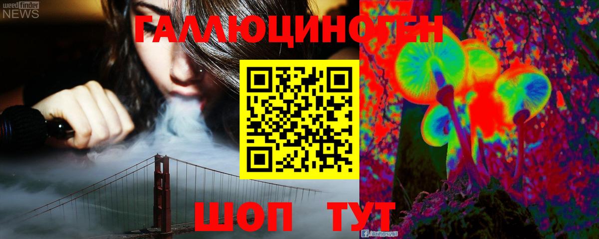 Псилоцибиновые грибы Cubensis Магадан