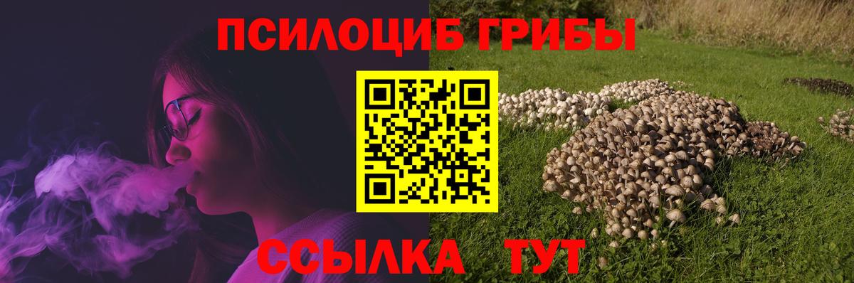 Магадан  Галлюциногенные грибы GOLDEN TEACHER  Вход с VPN 